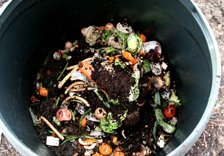 Compostul Brokelyn's grow your own food guide part 3
