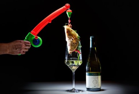 Cinco de wino swap: Think like a wine snob, drink like a brokester
