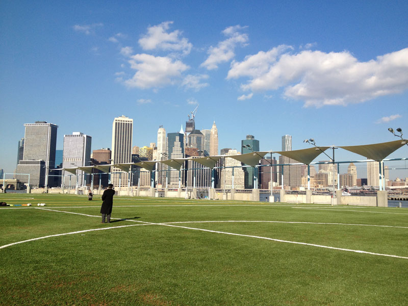 So here's the pitch Brooklyn Bridge Park gets soccer fields
