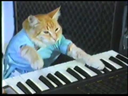 We always preferred Keyboard Cat to Grumpy Cat