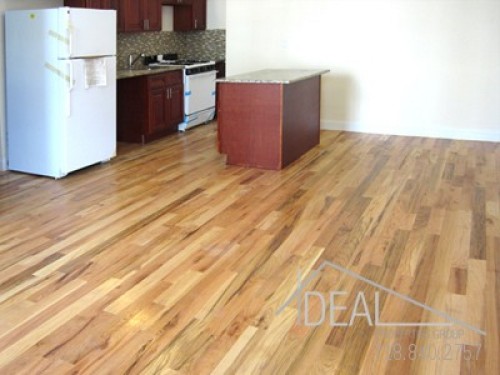 Image showcasing We've got apartments for you in Bed Stuy, Park Slope and Crown Heights
