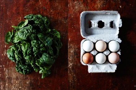 What risk for farm-fresh eggs? via Next Door Organics