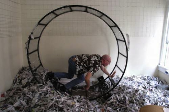 Free on Craigslist: a human-sized hamster wheel