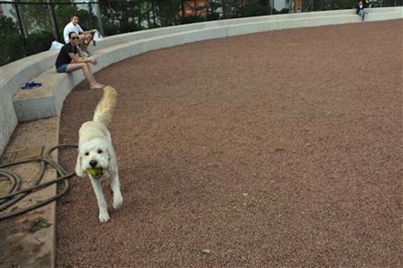brooklyn bridge park dog run