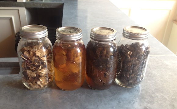 How to preserve, instead of throw out, old food