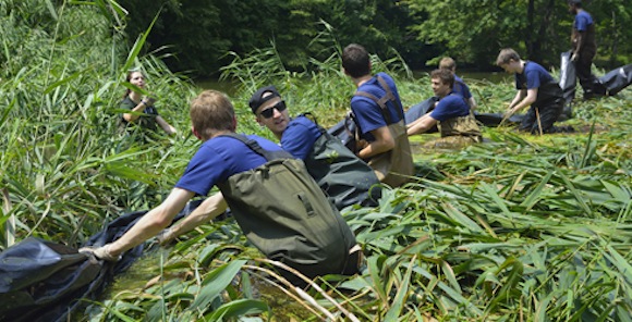 Weed-end fun: Help Prospect Park kill ENORMOUS INVASIVE WEEDS