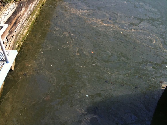 Horrifying new interactive map lays out New York’s shittiest waterways