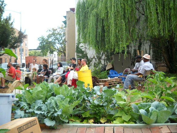 Men attempt to evict PLG community garden despite no proof of ownership