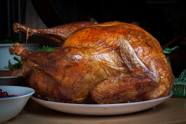 thanksgiving-turkey-gotham-brokerage-insurance-nyc