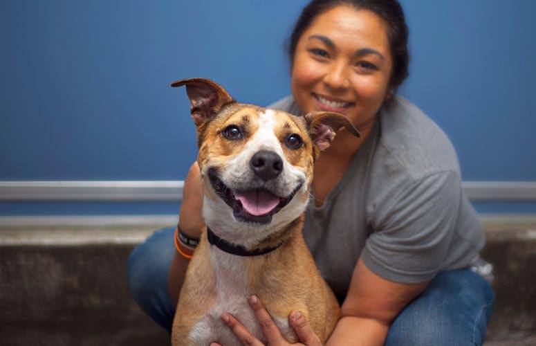 Adopt the pet of your dreams at Greenpoint's Super Adoption