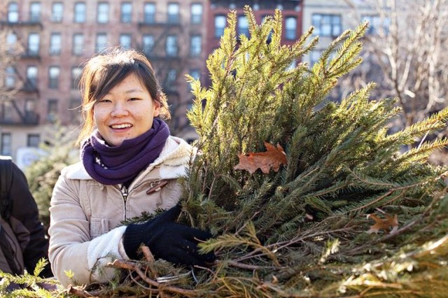 Leave winter behind, pick up a free tree this weekend