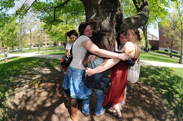 You can't hug a tree if you don't have one to hug, right? Right! via Flickr University of Michigan's Flickr
