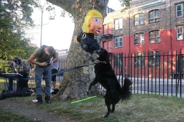 Sweet gig alert: Make $15/hour handing out Donald Trump dog poop bags