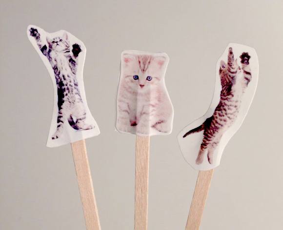 Win two tickets to Catlady Craft Night, a $160 value!