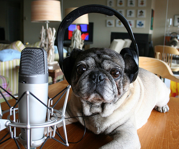 Get ready to binge listen: The 10 best NYC-based podcasts