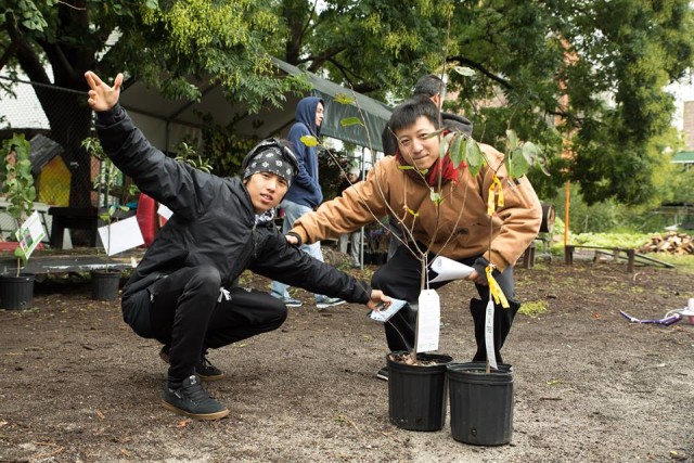 It's a real tree-t! Picture from the New York Restoration Project's fall giveaway in the Bronx, via Facebook.  