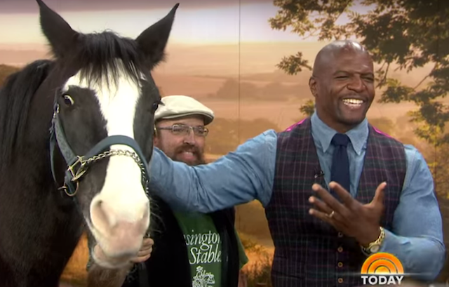 Hang out with the famous Brooklyn horse that knows Terry Crews at a BK block party this Sunday