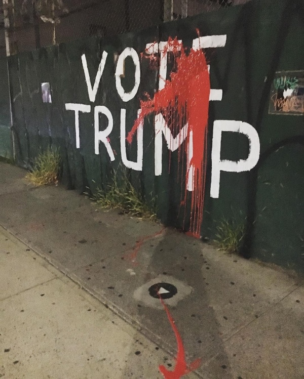 Spotted in the wild: The strange case of Brooklyn’s Trump supporters