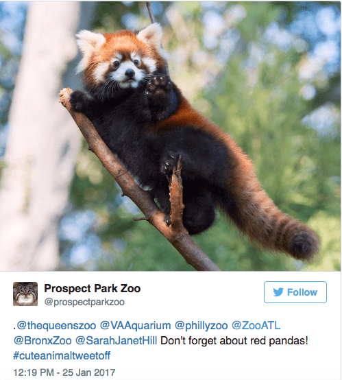 End of week linkage: The city’s zoos are in an adorable Twitter battle