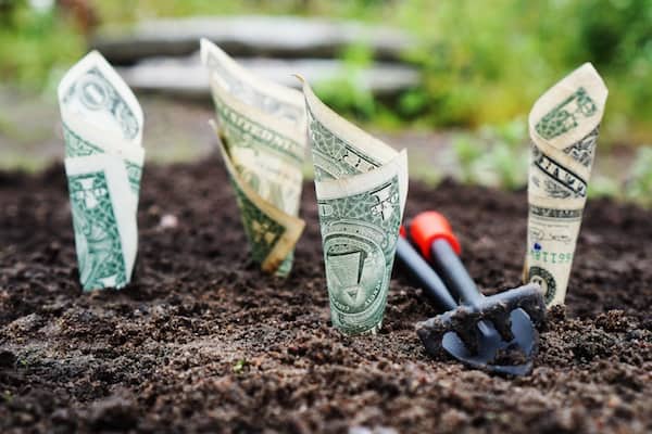 Sure, money doesn't grow on trees, but we've got a quick trick to start planting seeds for a more fruitful financial future. via pexels.